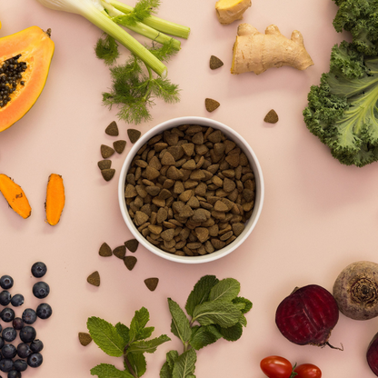 SayGrace Superfood Working Puppy Grassland Blend Responsibly Raised Angus Beef Dry Dog Food
