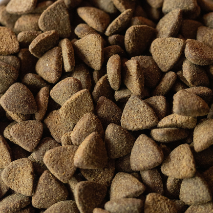 SayGrace Superfood Working Senior Light Fisherman's Catch Responsibly Sourced Scottish Salmon Dry Dog Food