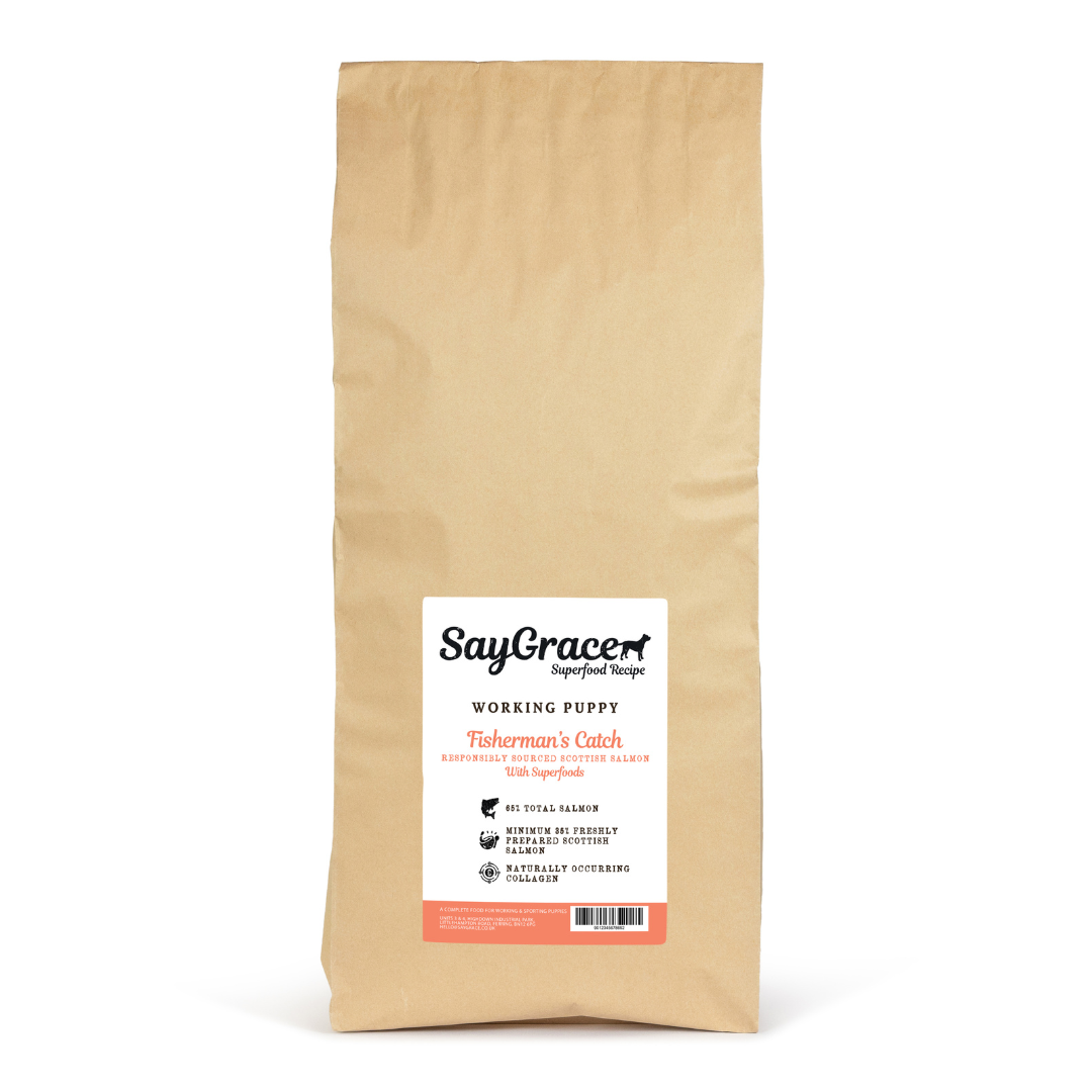 SayGrace Working Superfood Puppy Fisherman's Catch Responsibly Sourced Scottish Salmon Dry Dog Food