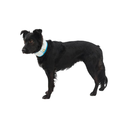 Ruffwear - Swamp Dog Cooling Neck Gaiter