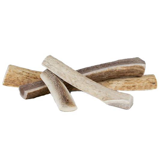 Elk Antlers Natural Dog Chew