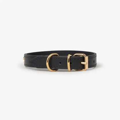 Nara Star Studded Dog Collar